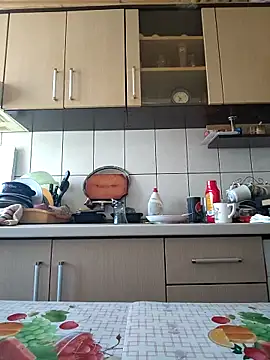 vulpe8400 online show from February 25, 2025, 8:36 am