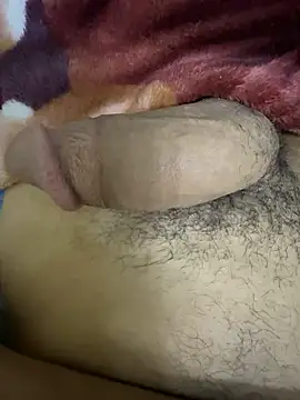 hamed-697 online show from December 7, 2024, 11:29 pm