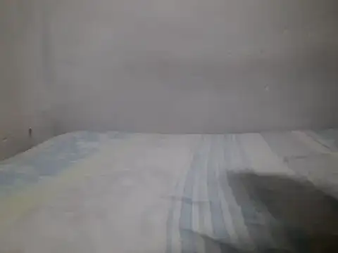 wilialex online show from December 3, 2024, 12:52 am