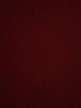 rosaditapussy online show from September 9, 2025, 3:16 am