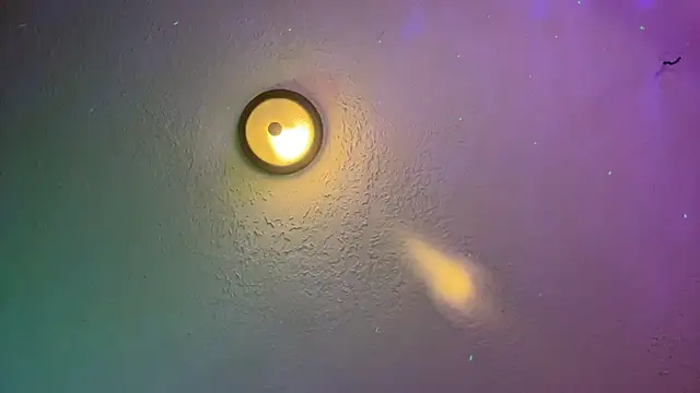 Dani Dragon69 online show from February 14, 2025, 8:42 am