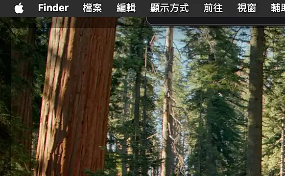 ex199212 online show from March 8, 2025, 1:50 am