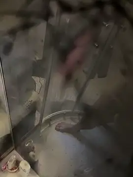 lescro95  online show from October 16, 2025, 3:20 pm