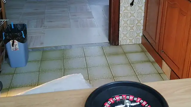 VeneRed online show from October 29, 2025, 9:08 am