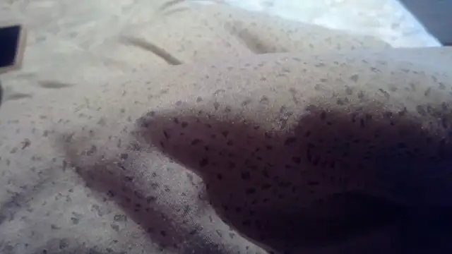 pumapatri online show from June 25, 2026, 7:08 pm