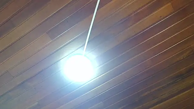 georgia oli online show from November 15, 2025, 1:20 am