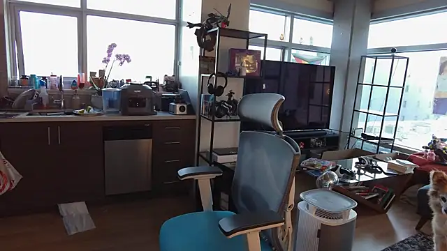 bearcloudcomputa online show from December 30, 2024, 12:11 am