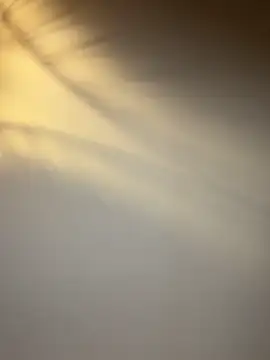 Snapshot of lola_tentatiion chatting on February 17, 2026, 9:01 pm lola tentatiion online show from February 17, 2026, 9:01 pm