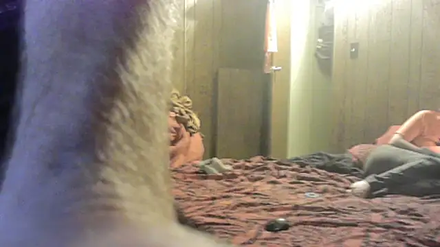 Snapshot of dcockell chatting on February 19, 2026, 8:11 am dcockell online show from February 19, 2026, 8:11 am