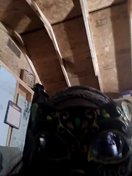 EbonysoFyne online show from November 21, 2025, 12:09 am