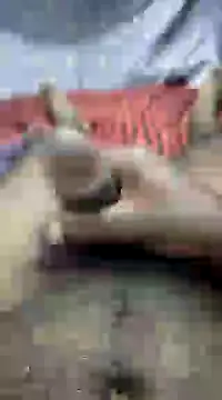 mallucallboy2104 online show from December 13, 2024, 8:47 pm