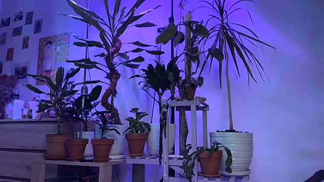 Snapshot of PaulaPratt chatting on September 13, 2025, 6:57 am PaulaPratt online show from September 13, 2025, 6:57 am