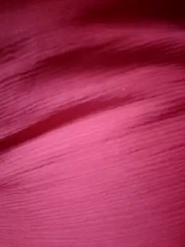 BERRY 00 online show from April 16, 2026, 10:38 am