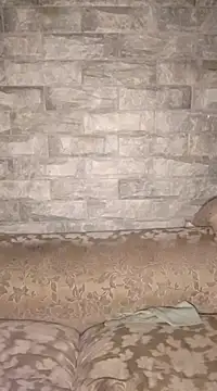 Snapshot of Ras_and_Stewf chatting on February 22, 2025, 7:03 pm Ras and Stewf online show from February 22, 2025, 7:03 pm