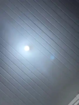 luara1988 online show from December 15, 2025, 1:28 pm