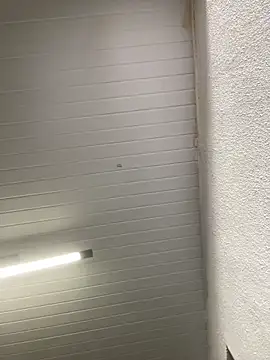 Snapshot of luara1988 chatting on October 23, 2025, 10:58 am luara1988 online show from October 23, 2025, 10:58 am