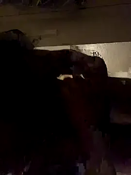 Snapshot of ethergodess9 chatting on November 19, 2025, 6:13 am ethergodess9 online show from November 19, 2025, 6:13 am