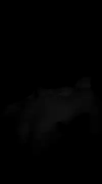 Deniell-01 online show from March 19, 2025, 10:20 pm