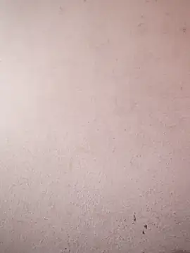 sana14 online show from February 6, 2026, 5:14 am