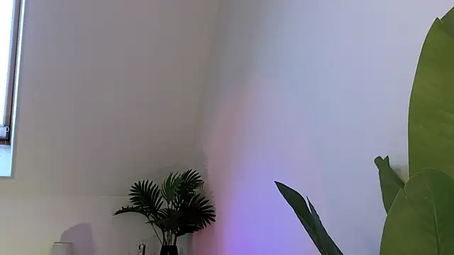 violetviolator online show from March 15, 2025, 6:03 am