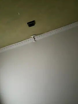 aurora divine online show from November 8, 2025, 1:03 pm