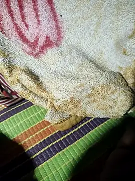 Sexy-Mona2 online show from October 10, 2025, 6:53 pm