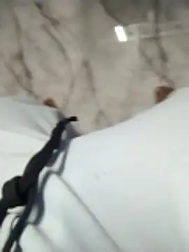 PracticalGum40 online show from October 14, 2025, 1:12 pm