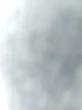Snapshot of PracticalGum40 chatting on January 16, 2025, 12:31 pm PracticalGum40 online show from January 16, 2025, 12:31 pm