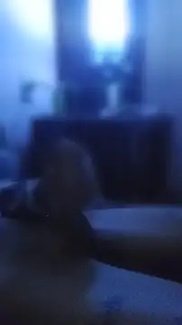 carloshot31 online show from April 2, 2026, 10:33 am