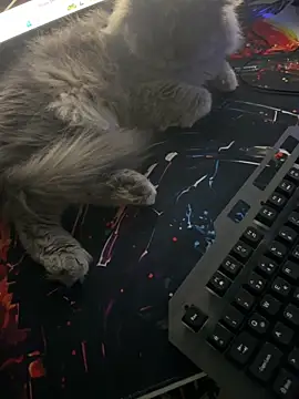 Leo-Cock online show from March 26, 2026, 9:51 am