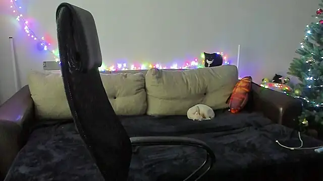 Ostin meow online show from December 2, 2025, 8:38 am