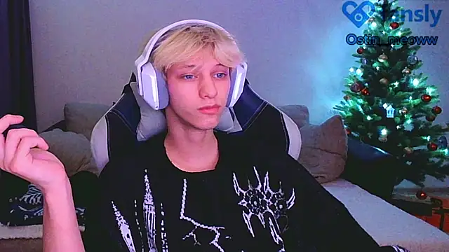 Snapshot of Ostin_meow chatting on January 12, 2025, 3:46 pm Ostin meow online show from January 12, 2025, 3:46 pm