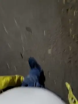 faaseel online show from November 3, 2025, 12:42 pm