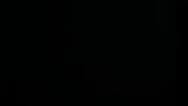 tayler punk noise online show from January 8, 2025, 6:41 pm