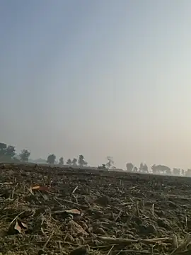 imissyoumylove14 online show from December 10, 2024, 3:09 am