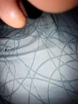 lemon69Reo online show from November 6, 2025, 5:44 am