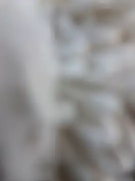 Snapshot of lemon69Reo chatting on February 15, 2026, 8:41 pm lemon69Reo online show from February 15, 2026, 8:41 pm