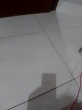 Lucianoonline online show from March 3, 2026, 10:17 pm