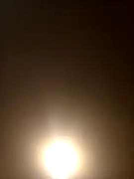 Morguisssz online show from September 28, 2025, 11:55 pm