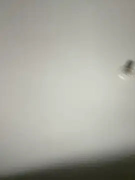 Morguisssz online show from October 31, 2025, 12:51 am