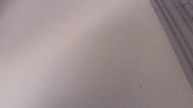 Frozenx online show from February 15, 2026, 11:20 am