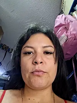 nidia2026 online show from April 14, 2026, 1:27 pm