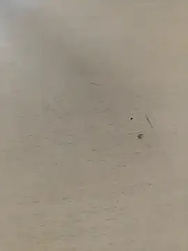 shale26 online show from September 28, 2025, 7:37 am