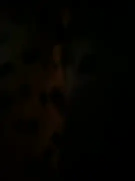 GangsterCouple-Aimy-Jonny online show from April 2, 2026, 7:48 am