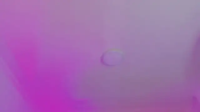 AlliJadid online show from November 19, 2025, 11:21 am