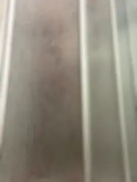 FrankJake99 online show from October 8, 2025, 11:27 pm