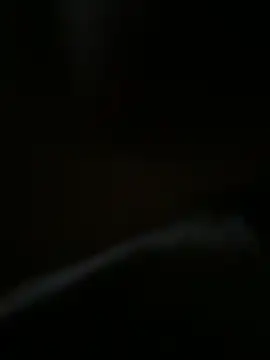 Snapshot of bra_zuka chatting on December 13, 2024, 8:41 am bra zuka online show from December 13, 2024, 8:41 am