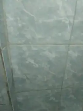 Pretordr online show from March 12, 2025, 12:42 am