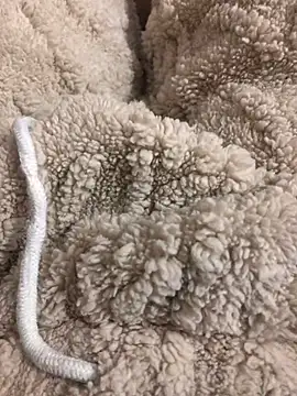 Dominador50T0ns online show from November 22, 2025, 7:02 pm