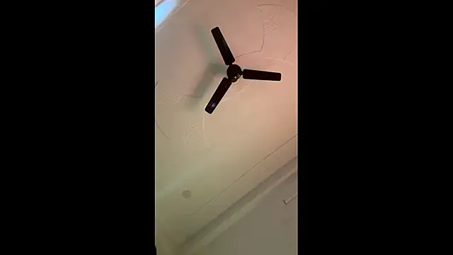 Lush puja online show from November 4, 2025, 7:01 am